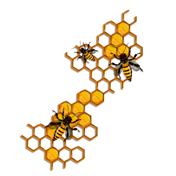 liztor asiarra logo_b