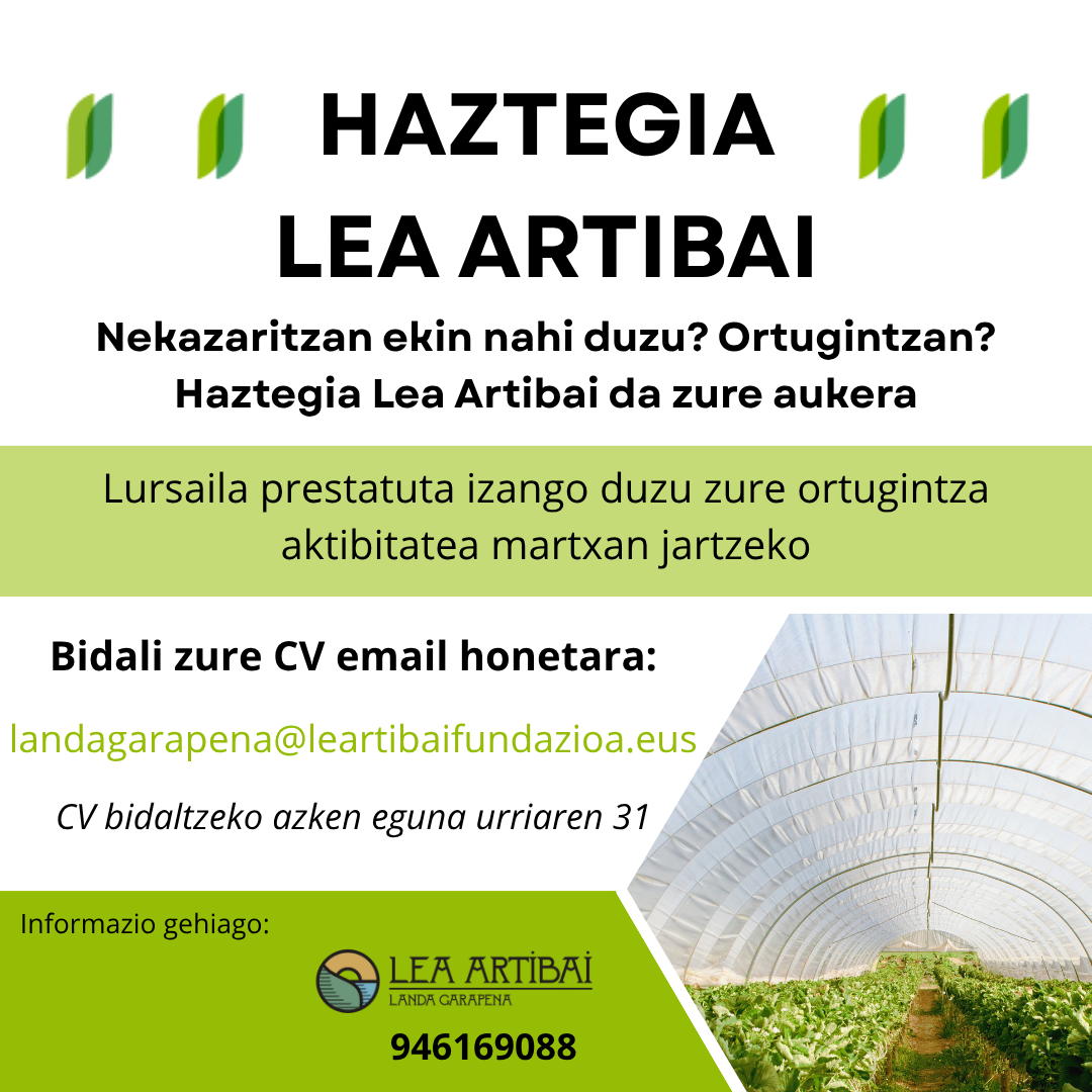 Kartela_Ekintzailearen bilaketa Haztegia_kartela